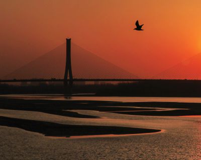 济南建邦黄河大桥43