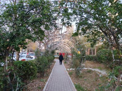 市民公园的早晨10