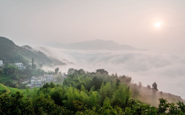 乡村风光