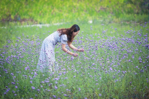 陌上花开