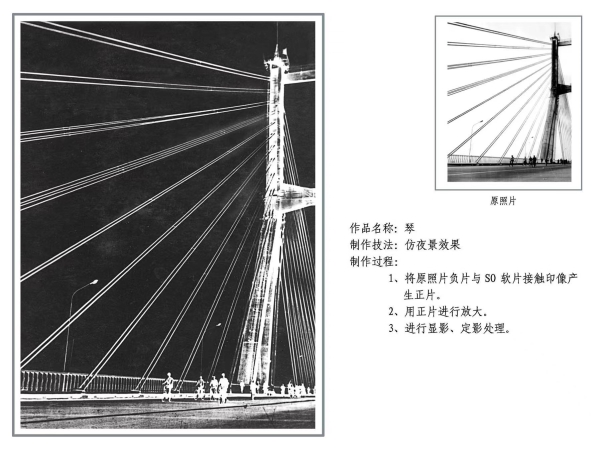 暗房技法 -《琴》