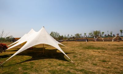 《白帐驻春郊》