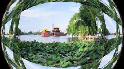 大明湖赏荷1
