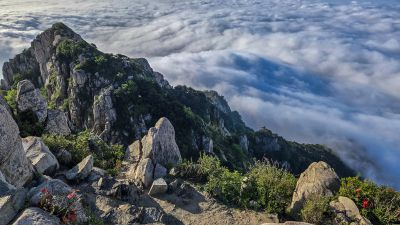 泰山云海