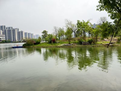 云锦湖小景4