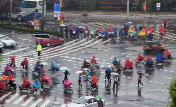 《风雨无阻》