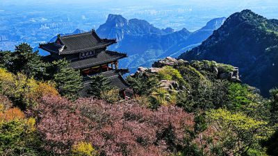 花开季节登泰山