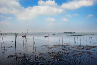 《湖湾景观》