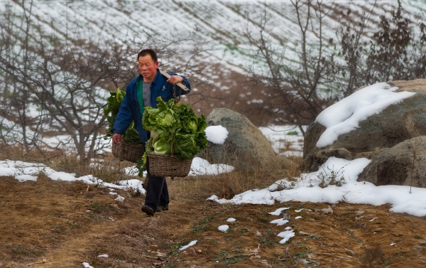 《山村瑞雪》