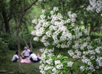 花下休闲