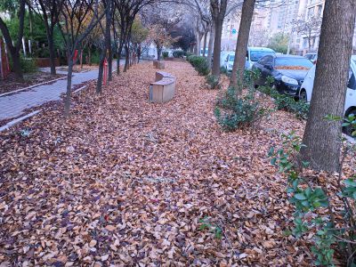 市民公园的早晨