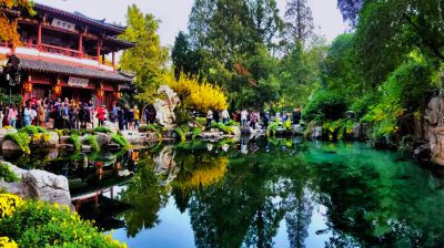 檐下观泉 镜中秋韵