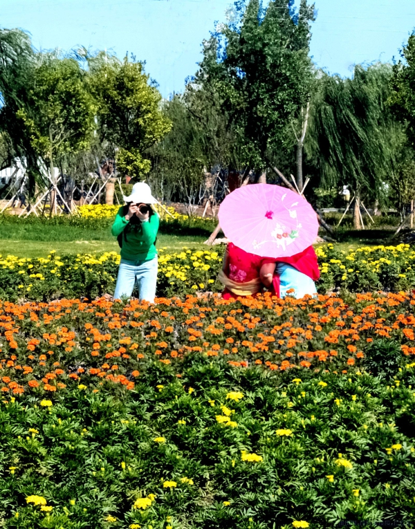《花博会——花团锦簇秋意浓》