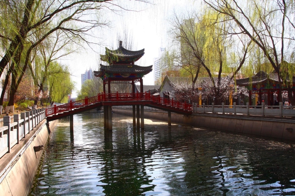 春回故乡