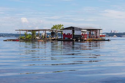 稀有的巴西亚马逊河里粉色海豚