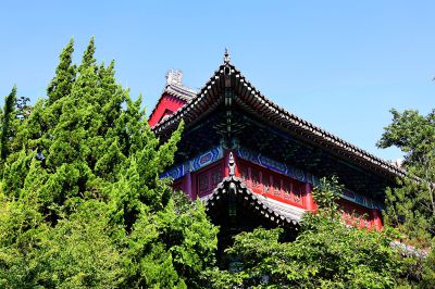 翠柏红檐映碧空