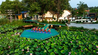 《荷间瑜伽韵》