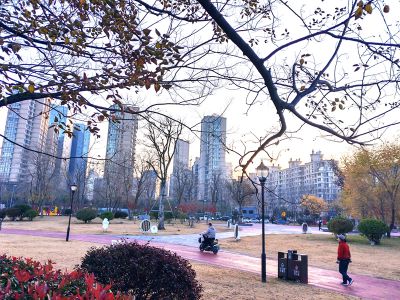 251127市民公园的早晨5