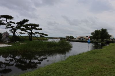 扎龙湿地（3）