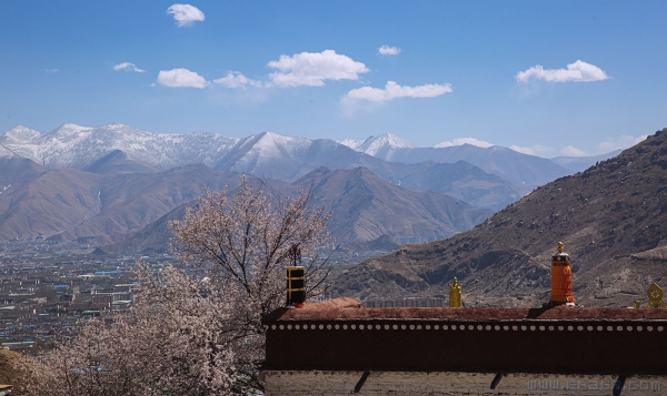 [原创]桃花季节的西藏帕邦喀寺（一）