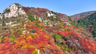 石门坊红叶（2）