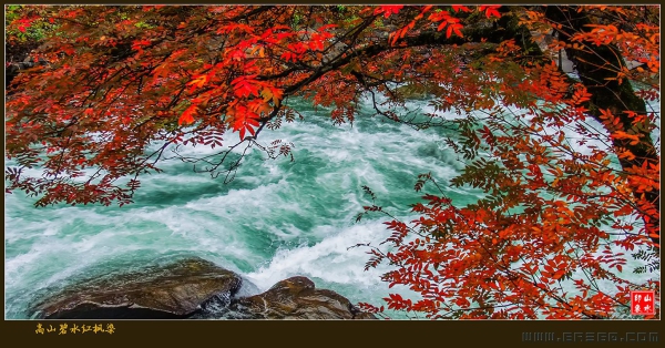 高山碧水红枫染