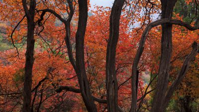 石门坊中路风景1