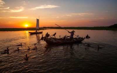 《忙活牧鹰人》
