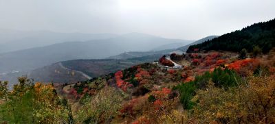 走进秋天 （1）