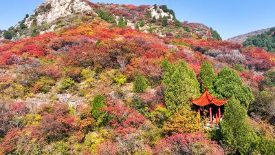 石门坊红叶（3）