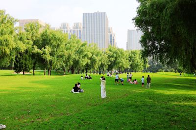 闹市区的高尔夫球场对市民开放了（2）