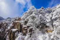 黄山雪