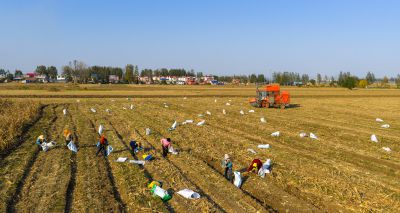 《晴野勤耕汗裹秋》