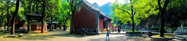 《春色浸染灵岩寺》