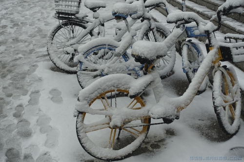 立冬后的第一场雪2