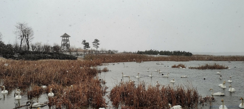 [原创]天鹅湖新景区