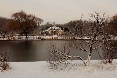 白雪降临，冬韵悠长（2）