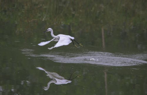 《踏浪》