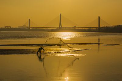 济南建邦黄河大桥34