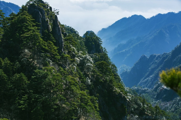 [原创]天下奇山 黄山（二十一）