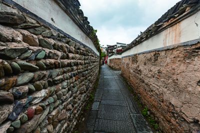 《保护的意义》