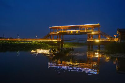 《荷园夜色》