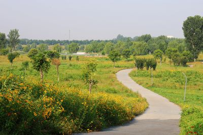 夏日的勃勃生机（1）