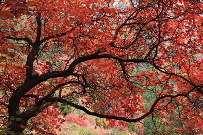 石门坊山顶西段景色