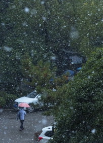 [原创]【飘 雪】