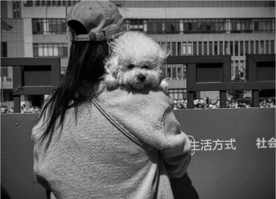 几张黑白片