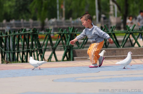 快乐的宝宝