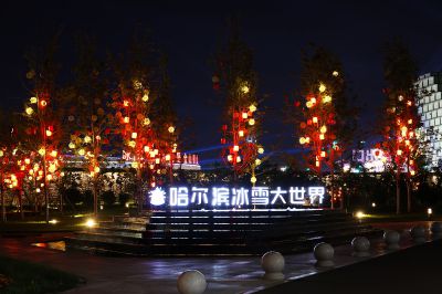 林间灯海夜未央（1）