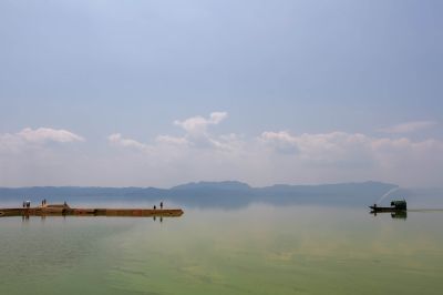 《朦胧景色》
