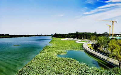 天空湛蓝、云层轻薄
